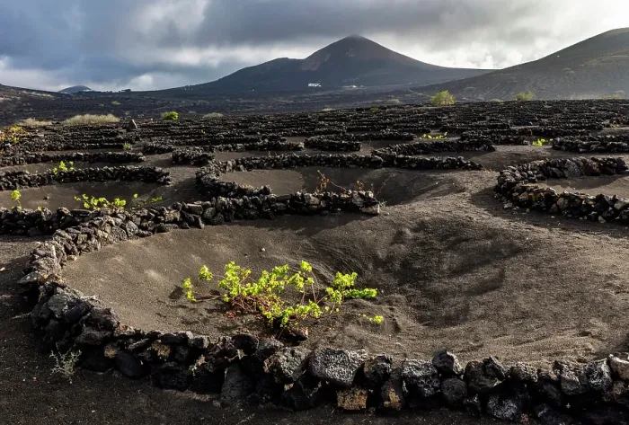 Framed Print : The vineyards and volcanic landscape of La Geria, Lanzarote, Canary Islands, Spain Framed Print : The vineyards and volcanic landscape of La Geria, Lanzarote, Canary Islands, Spain
