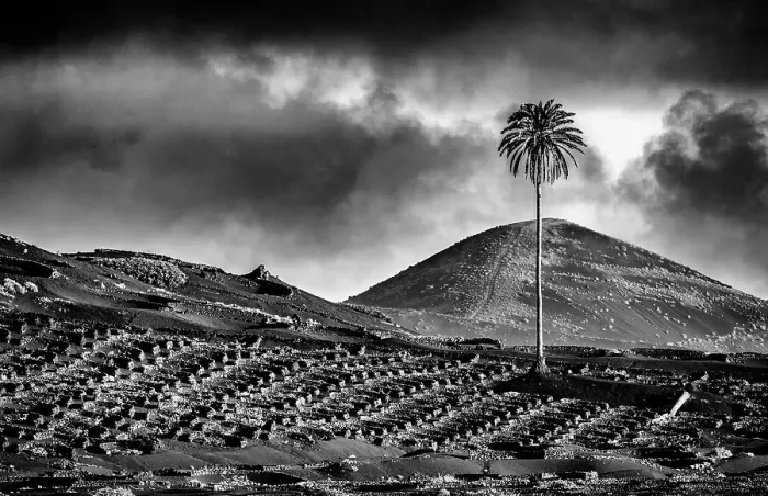Framed Print : The vineyards and volcanic landscape of La Geria, Lanzarote, Canary Islands, Spain Framed Print : The vineyards and volcanic landscape of La Geria, Lanzarote, Canary Islands, Spain