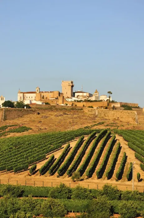 Framed Print : Vineyards and the walled city of Estremoz. Alentejo, Portugal Framed Print : Vineyards and the walled city of Estremoz. Alentejo, Portugal