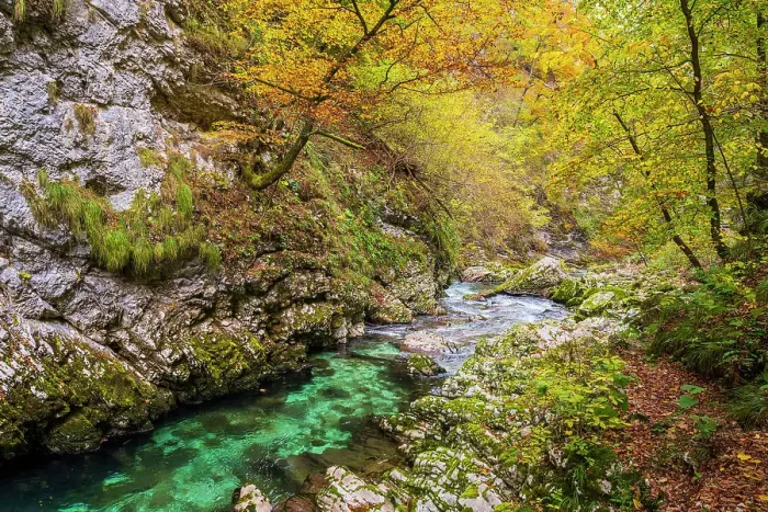 Framed Print : Vintgar Gorge or Bled Gorg, Upper Carniola, Slovenia Framed Print : Vintgar Gorge or Bled Gorg, Upper Carniola, Slovenia