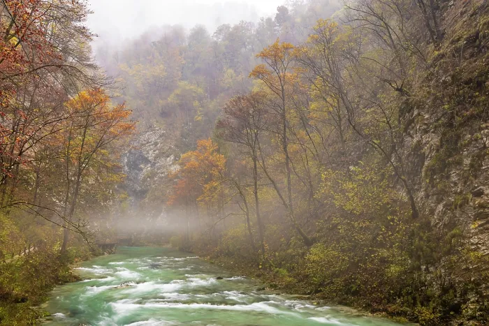 Framed Print : Vintgar Gorge and Radovna River in Autumn, near Bled, Slovenia Framed Print : Vintgar Gorge and Radovna River in Autumn, near Bled, Slovenia