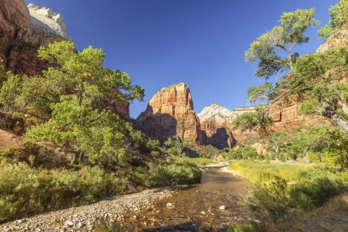 Framed Print : Virgin River und Angels Landing, Zion Nationalpark, Colorado Plateau, Utah, USA Framed Print : Virgin River und Angels Landing, Zion Nationalpark, Colorado Plateau, Utah, USA