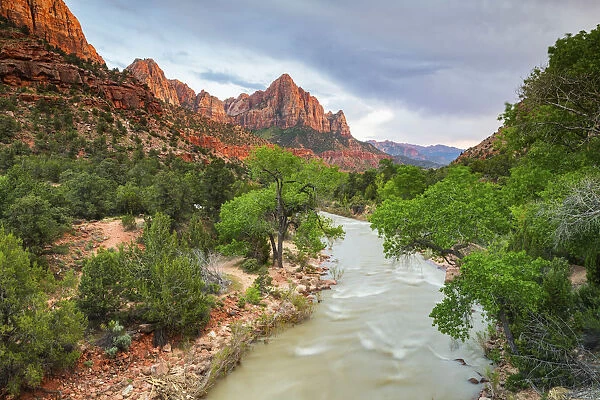 Virgin river and the Watchman, Zion National Park, Utah, USA