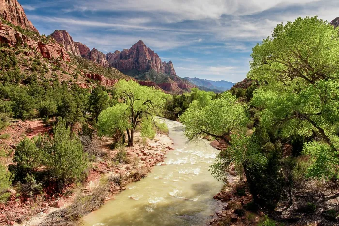 Framed Print : Virgin River in Zion National Park, Utah, USA Framed Print : Virgin River in Zion National Park, Utah, USA