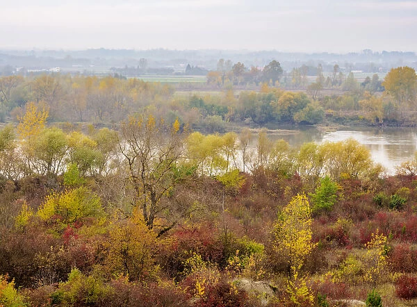 Vistula River, elevated view, Kaliszany Kolonia, Lublin Voivodeship, Poland
