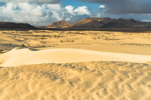 Volcanic mountains view from the sand dunes of desert, Corralejo Natural Park, Fuerteventura, Canary Islands, Spain