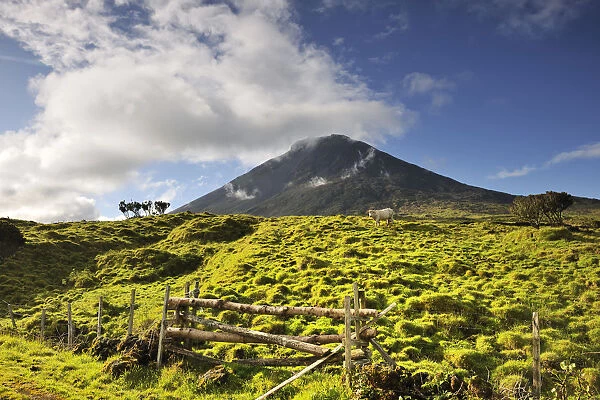 The volcano, 2351 meters high, at the Pico island