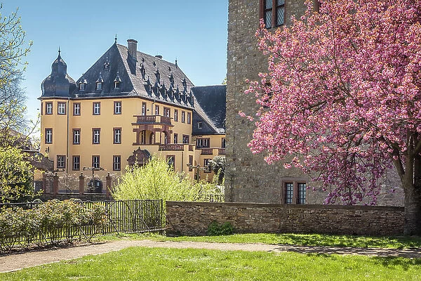 Vollrads Castle near Oestrich-Winkel, Rheingau, Hesse, Germany