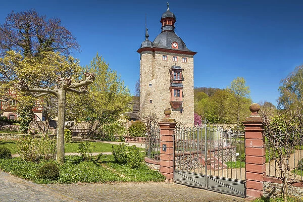 Keep of Vollrads Castle near Oestrich-Winkel, Rheingau, Hesse, Germany