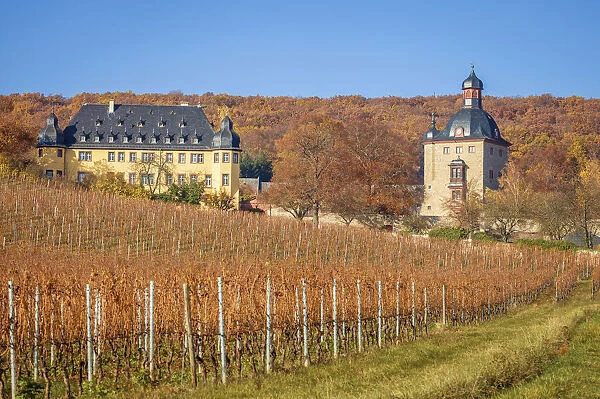 Vollrads Castle in the vineyards above Oestrich-Winkel, Rheingau, Hesse, Germany