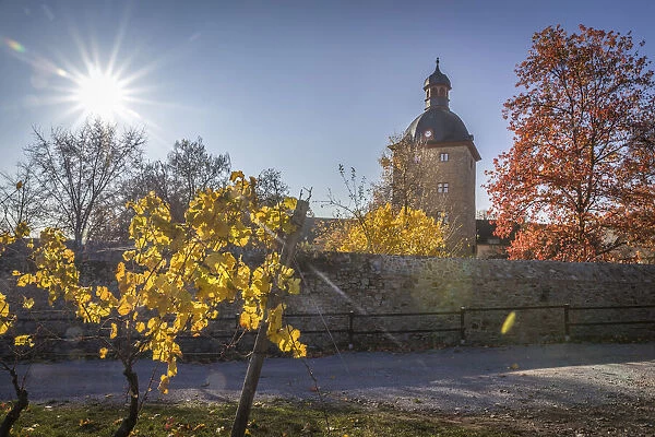 Vollrads Castle in the vineyards above Oestrich-Winkel, Rheingau, Hesse, Germany