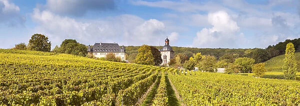 Vollrads castle and vineyards, Rhine valley, Hesse, Germany