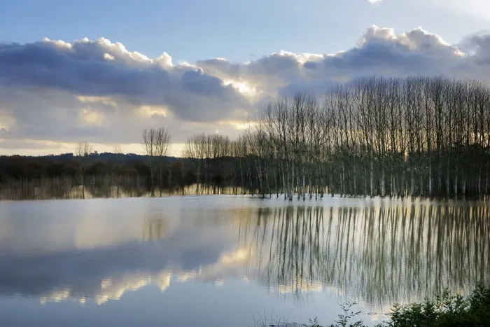 Framed Print : Vouga river and poplars at dusk, Agueda, Portugal Framed Print : Vouga river and poplars at dusk, Agueda, Portugal