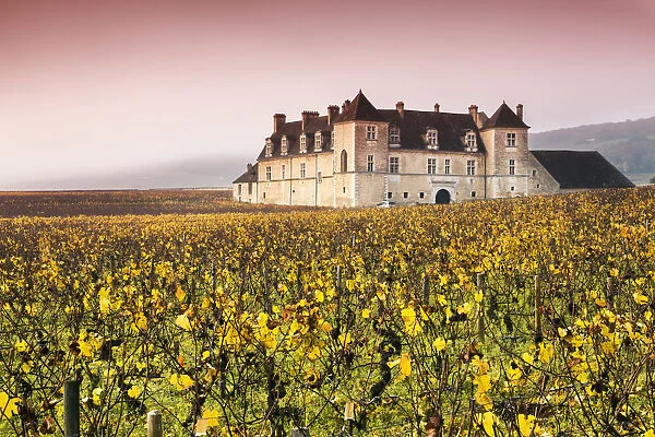 Vougeot castle and vineyards, Burgundy, France
