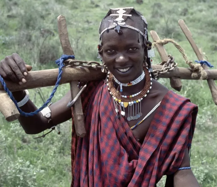 Framed Print : A Wa-Arusha warrior carries home a yoke Framed Print : A Wa-Arusha warrior carries home a yoke