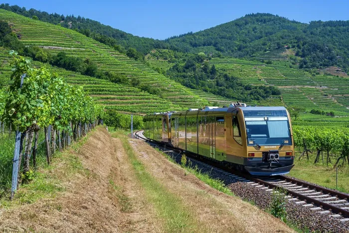 Framed Print : Wachau Railway train between vineyards near Weissenkirchen in der Wachau, Lower Austria, Austria Framed Print : Wachau Railway train between vineyards near Weissenkirchen in der Wachau, Lower Austria, Austria