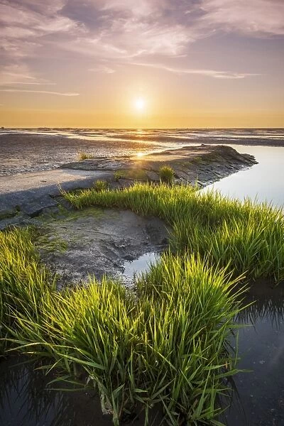 Wadden Sea with low tide, Duhnen, Cuxhaven, Lower Saxony, Germany