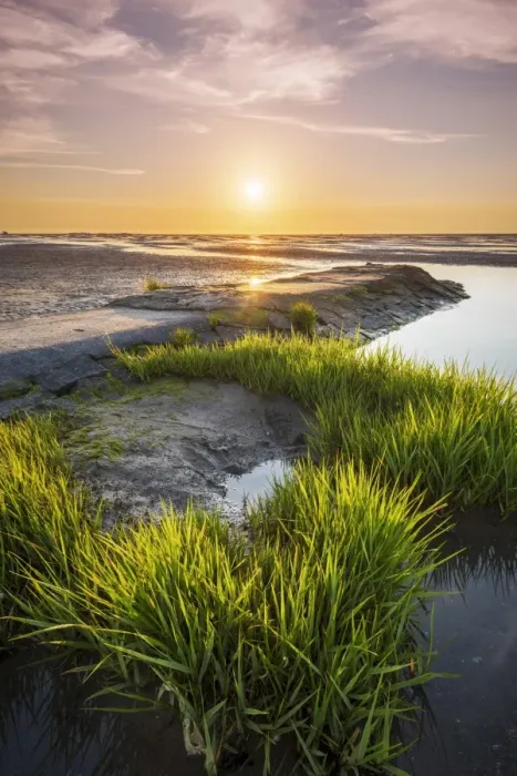 Framed Print : Wadden Sea with low tide, Duhnen, Cuxhaven, Lower Saxony, Germany Framed Print : Wadden Sea with low tide, Duhnen, Cuxhaven, Lower Saxony, Germany