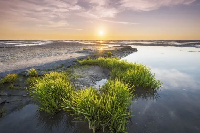 Framed Print : Wadden Sea with low tide, Duhnen, Cuxhaven, Lower Saxony, Germany Framed Print : Wadden Sea with low tide, Duhnen, Cuxhaven, Lower Saxony, Germany