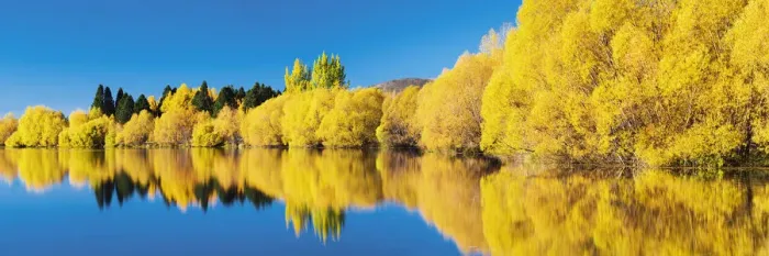 Framed Print : Wairepo Arm Reflections in Autumn, New Zealand Framed Print : Wairepo Arm Reflections in Autumn, New Zealand