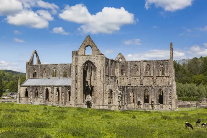 Framed Print : Wales, Monmouthshire, Tintern Abbey Framed Print : Wales, Monmouthshire, Tintern Abbey