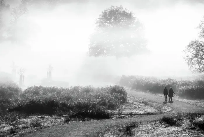 Framed Print : Walkers in Richmond Park on a misty autumn morning, Richmond, London, England Framed Print : Walkers in Richmond Park on a misty autumn morning, Richmond, London, England