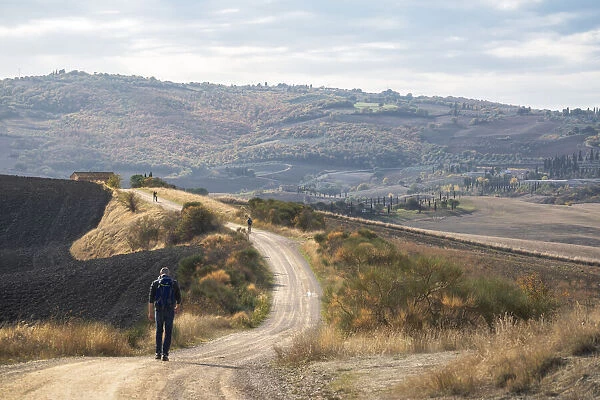 Walking around the Orcia Valley, Siena province, Tuscany, Italy