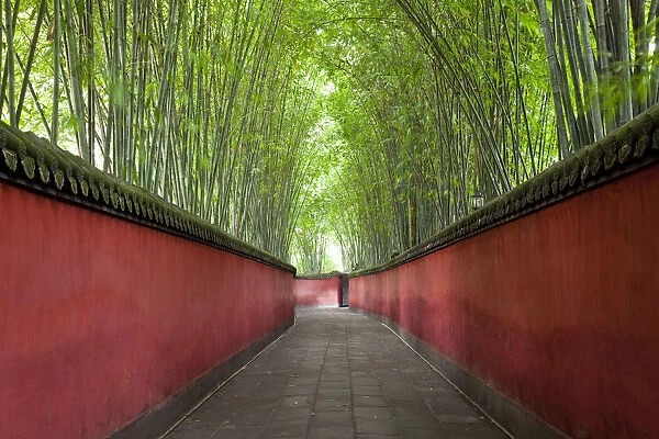 Walkway with bamboo canopy, Wuhou Shrine, Chengdu, Sichuan, China