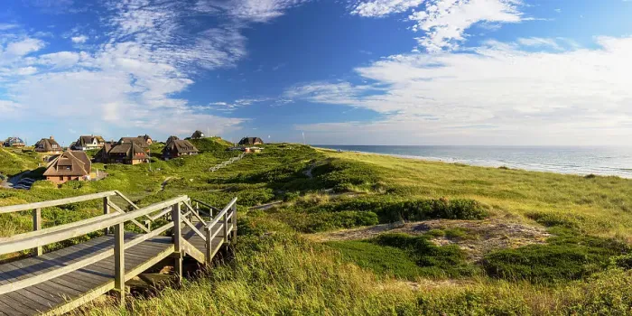 Framed Print : Walkway through heather, Rantum, Sylt, Schleswig Holstein, Germany Framed Print : Walkway through heather, Rantum, Sylt, Schleswig Holstein, Germany