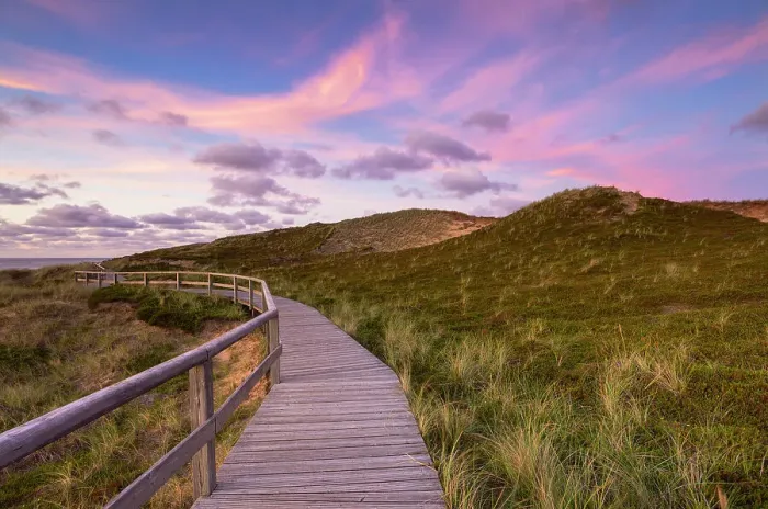 Framed Print : Walkway on Red Cliffs (Rotes Kliff) at sunset, Kampen, Sylt, Schleswig Holstein, Germany Framed Print : Walkway on Red Cliffs (Rotes Kliff) at sunset, Kampen, Sylt, Schleswig Holstein, Germany
