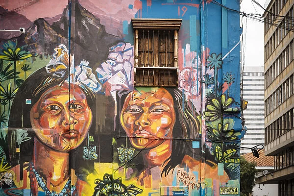 Wall Mural, Bogota, Cundinamarca, Colombia, South America