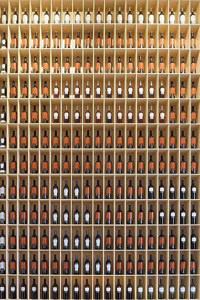 A wall of wine bottles in the bar at Bodegas Marques de Riscal, built by Frank O. Gerhy
