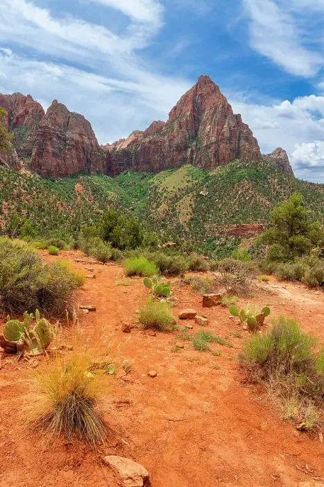 Framed Print : The Watchman mountain seen from Watchman Trail, Zion National Park, Washington County, Utah, USA Framed Print : The Watchman mountain seen from Watchman Trail, Zion National Park, Washington County, Utah, USA