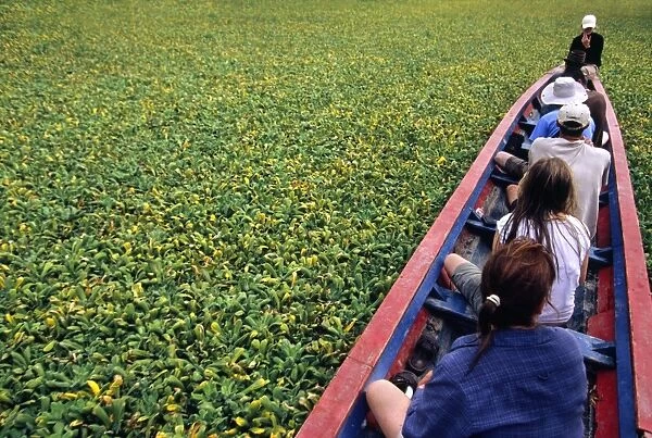 Water hyacinth makes for slow progress cruising up