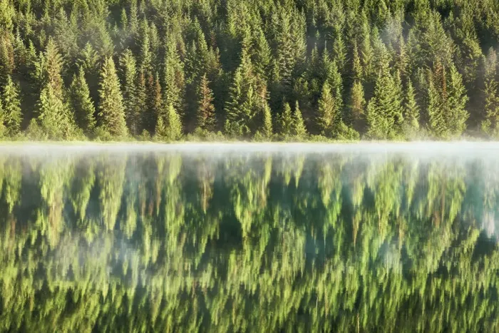 Framed Print : Water impression mirroring of forest in Trillium Lake - USA, Oregon, Clackamas Framed Print : Water impression mirroring of forest in Trillium Lake - USA, Oregon, Clackamas