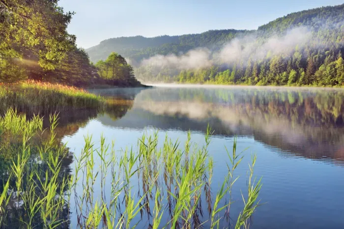 Framed Print : Water landscape with fog at Rauschelesee - Austria, Carinthia, Klagenfurt Framed Print : Water landscape with fog at Rauschelesee - Austria, Carinthia, Klagenfurt