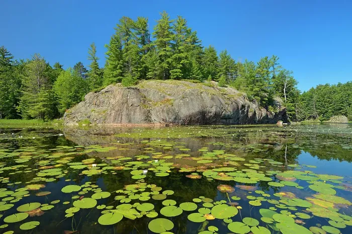Framed Print : Water lilies, white Pine trees and precambrian rock at Freeland Lake Killarney Provincial Park, Ontario, Canada Framed Print : Water lilies, white Pine trees and precambrian rock at Freeland Lake Killarney Provincial Park, Ontario, Canada