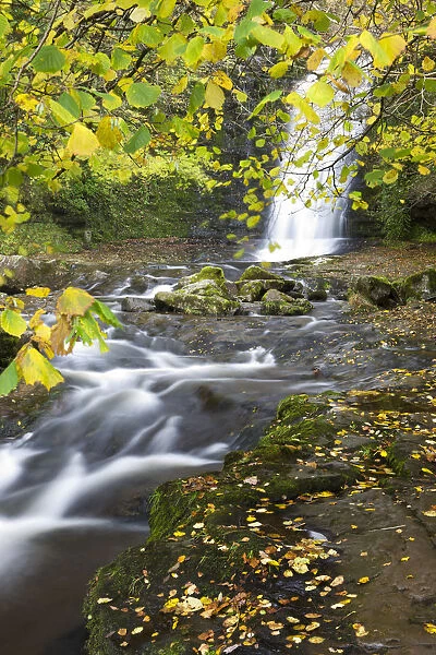 Waterfall and autumn foliage at Blaen-y-Glyn, Brecon Breacons National Park, Powys, Wales