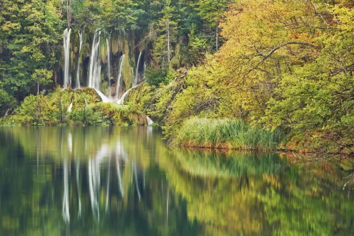 Framed Print : Waterfall in beech forest - Croatia, Lika-Senj, Plitvice Lakes - Plitvice Lakes National Framed Print : Waterfall in beech forest - Croatia, Lika-Senj, Plitvice Lakes - Plitvice Lakes National