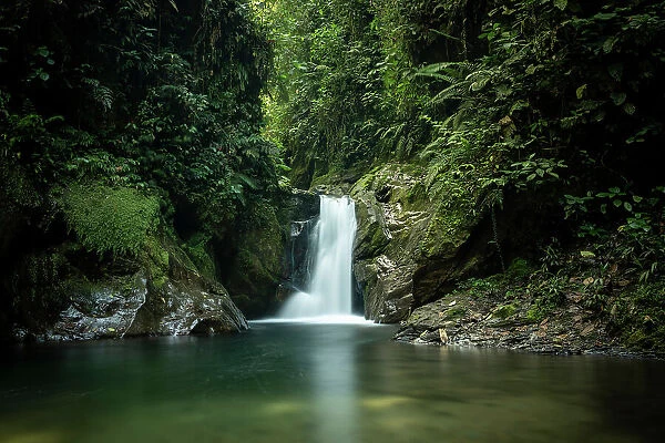 Waterfall in the Cloudforest, Mashpi, Reserva Mashpi Amagusa, Pichincha, Ecuador