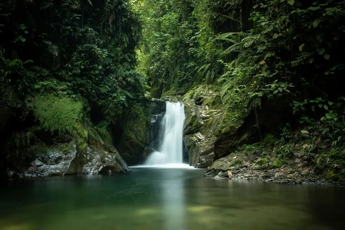 Framed Print : Waterfall in the Cloudforest, Mashpi, Reserva Mashpi Amagusa, Pichincha, Ecuador Framed Print : Waterfall in the Cloudforest, Mashpi, Reserva Mashpi Amagusa, Pichincha, Ecuador