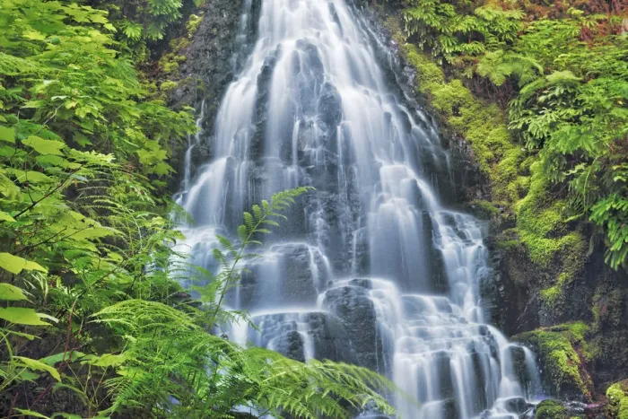 Framed Print : Waterfall Fairy Falls in Pacific rainforest - USA, Oregon, Multnomah Framed Print : Waterfall Fairy Falls in Pacific rainforest - USA, Oregon, Multnomah
