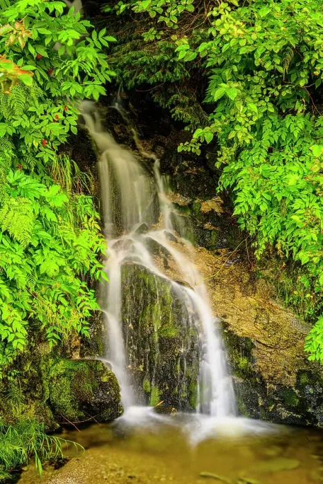 Framed Print : Waterfall, Haines, Alaska, USA Framed Print : Waterfall, Haines, Alaska, USA
