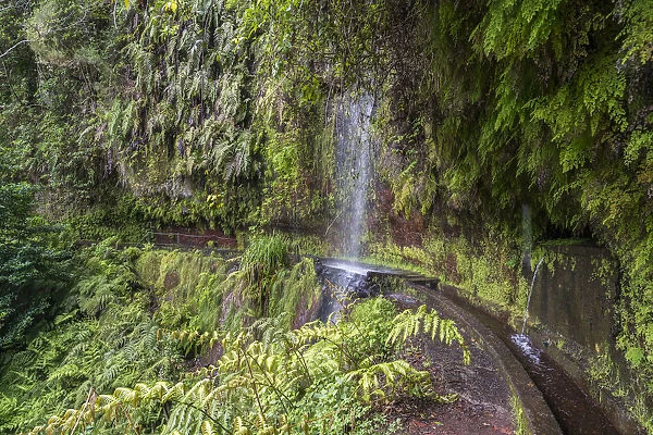 Waterfall in Levada do Rei walk. Sao Jorge, Santana municipality, Madeira Island