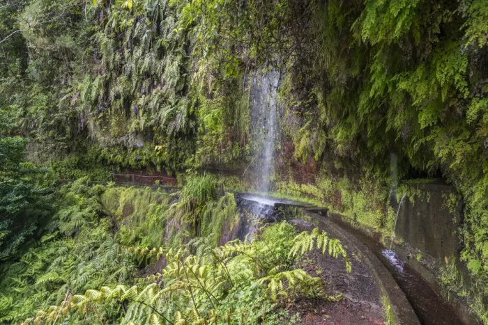 Framed Print : Waterfall in Levada do Rei walk. Sao Jorge, Santana municipality, Madeira Island