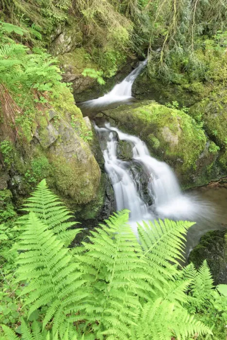 Framed Print : Waterfall in Lotenbach Gorge, Bonndorf, Wutach Gorge, Black Forest, Baden-Wurttemberg, Germany Framed Print : Waterfall in Lotenbach Gorge, Bonndorf, Wutach Gorge, Black Forest, Baden-Wurttemberg, Germany