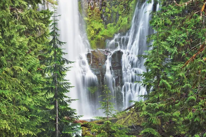 Framed Print : Waterfall Lower Proxy Falls - USA, Oregon, Lane, Lower Proxy Falls - Cascade Range Framed Print : Waterfall Lower Proxy Falls - USA, Oregon, Lane, Lower Proxy Falls - Cascade Range
