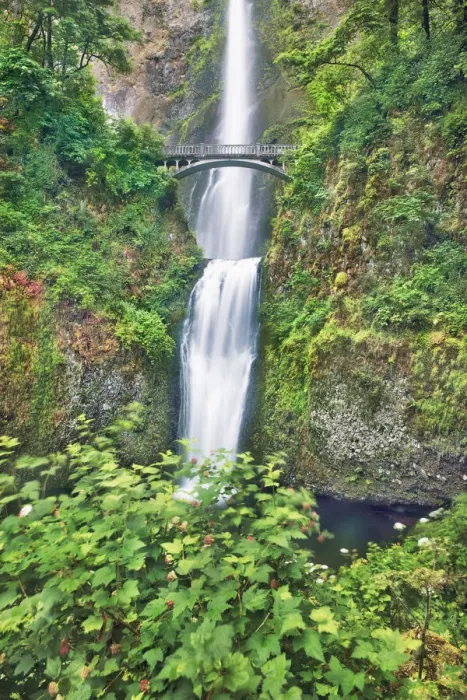 Framed Print : Waterfall Multnomah Falls - USA, Oregon, Multnomah, Multnomah Falls - Cascade Range