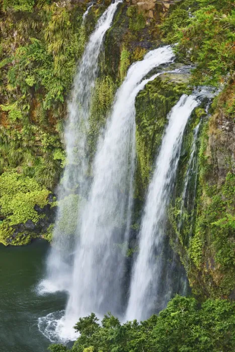Framed Print : Waterfall - New Zealand, North Island, Northland, Whangarei, Whangarei, Whangarei Falls Framed Print : Waterfall - New Zealand, North Island, Northland, Whangarei, Whangarei, Whangarei Falls