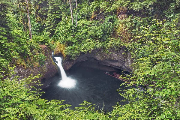 Waterfall Punchball Falls in Pacific rainforest - USA, Oregon, Hood River, Eagle Creek